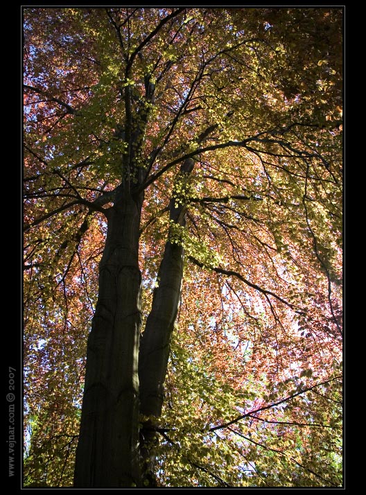 priroda-foto01.jpg