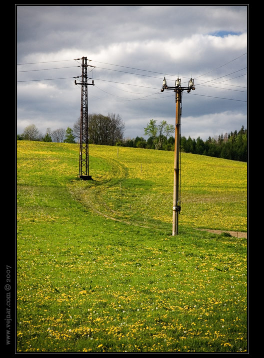 priroda-foto12.jpg