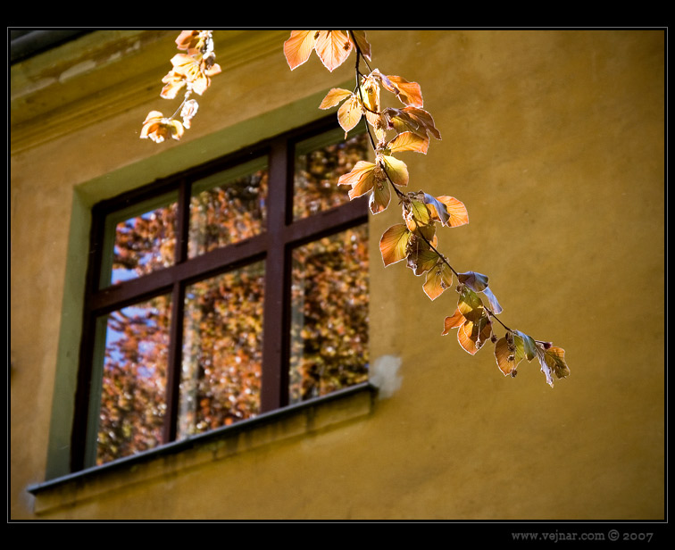 priroda-foto13.jpg