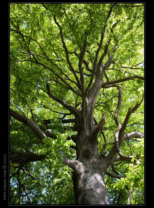 priroda-foto05.jpg